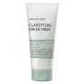 Очищувальна маска з глиною та спіруліною Logically, Skin Clarifying Green Mask