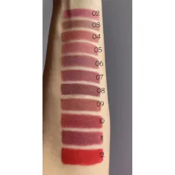 Помада-олівець Velvet Waterproof Matte Bogenia BG730 ( Cranber 004)