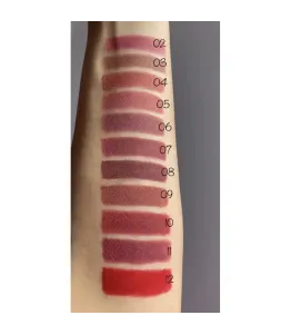 Помада-олівець Velvet Waterproof Matte Bogenia BG730 ( Cranber 004)